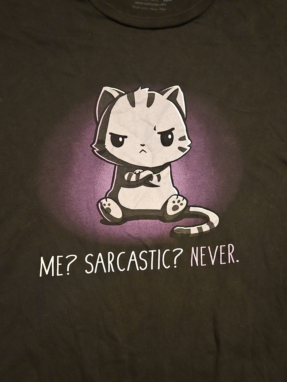 Teeturtle Sarcastic Cat Tshirt 2xl